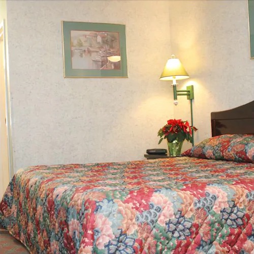 1 King Bed Nonsmoking Photo 3